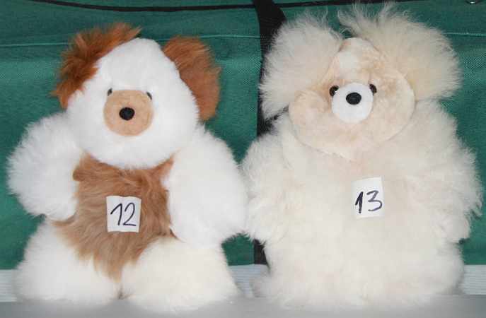 alpaka teddy